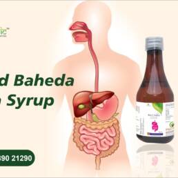Harad Baheda Amla Syrup