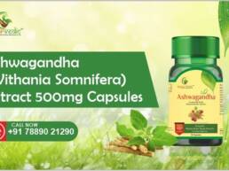 Ashwagandha (Withania Somnifera) Extract 500mg Capsules