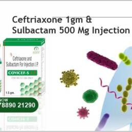 Ceftriaxone 1gm & Sulbactam 500 Mg Injection