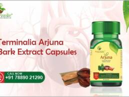 Terminalia Arjuna Bark Extract Capsules