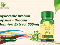 Sayurvedic Brahmi Capsule - Bacopa Monnieri Extract 500mg