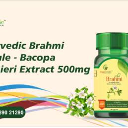 Sayurvedic Brahmi Capsule - Bacopa Monnieri Extract 500mg
