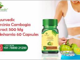 Sayurvedic Garcinia Cambogia Extract 500 Mg Vrikshamla 60 Capsules