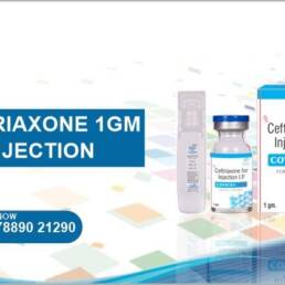 Ceftriaxone 1 Gm Injection