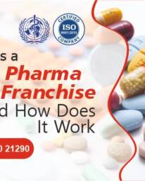 Best Pharma Franchise Company