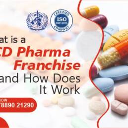 Best Pharma Franchise Company
