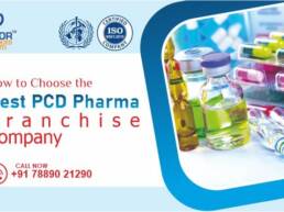 Top PCD Pharma Franchise