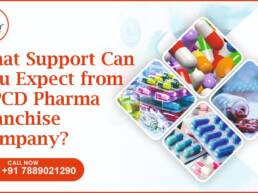 PCD Pharma Franchise Company
