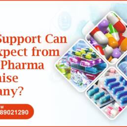 PCD Pharma Franchise Company