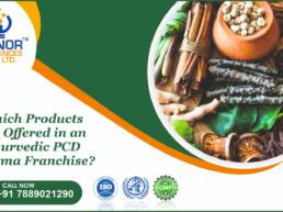 Ayurvedic PCD Pharma Franchise