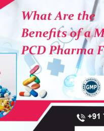 Monopoly PCD Pharma Franchise