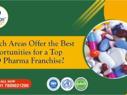 Top PCD Pharma Franchise