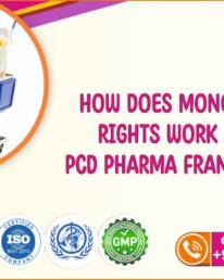 PCD Pharma Franchise