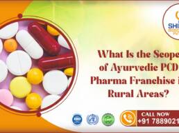 Ayurvedic PCD Pharma Franchise