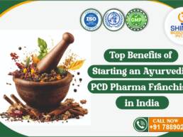 Ayurvedic PCD Pharma Franchise