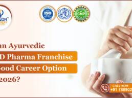 Ayurvedic PCD Pharma Franchise